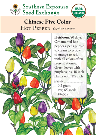 46517 Chinese Five Color