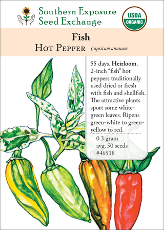46518 Fish