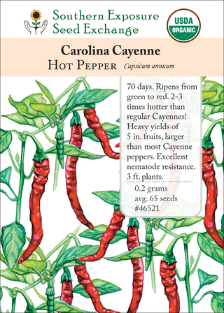 46521 Carolina Cayenne