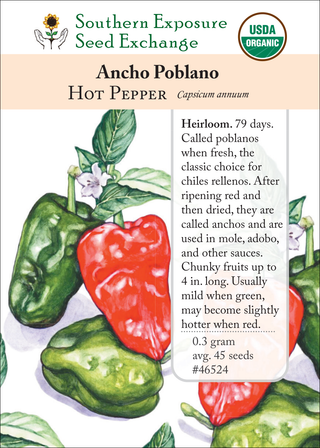 46524 Ancho Poblano