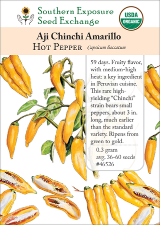 46526 Aji Chinchi
