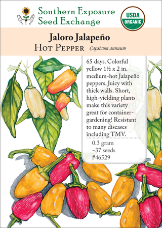 46529 Jaloro Jalapeno
