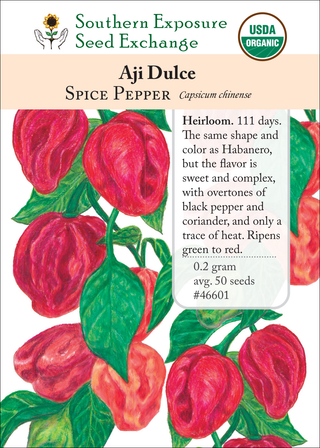 46601 Aji Dulce