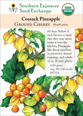47101 Cossack Pineapple