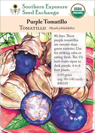 48105 Purple Tomatillo