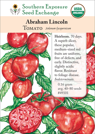 49101 Abraham Lincoln