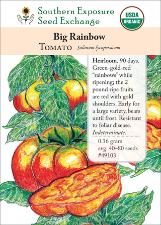 49103 Big Rainbow