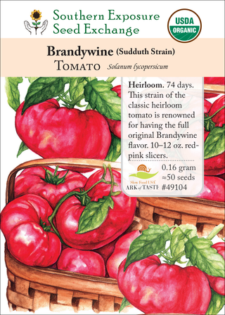 49104 Brandywine