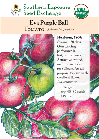 49112 Eva Purple Ball
