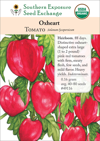 49116 Oxheart