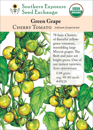 49118 Green Grape