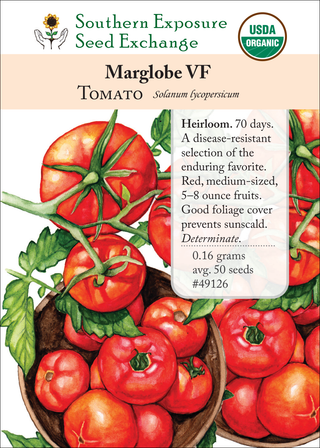 49126 Marglobe VF