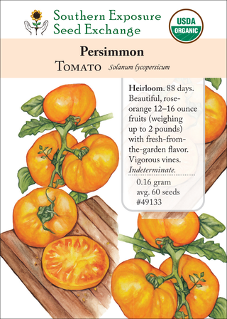 49133 Persimmon