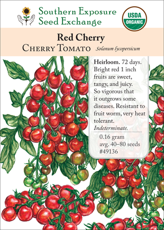 49136 Red Cherry