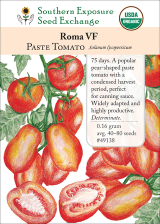 49138 Roma