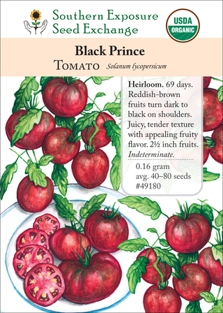 49180 Black Prince