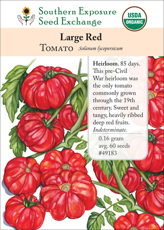 49183 Large Red