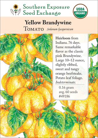 49186 Yellow Brandywine