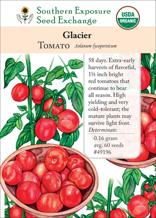 49196 Glacier