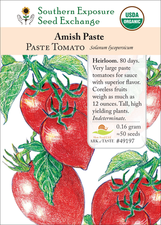 49197 Amish Paste