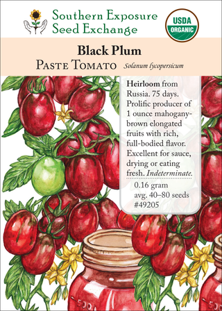 49205 Black Plum