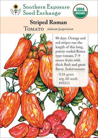 49211 Striped Roman