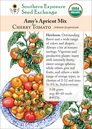 49236 Amy's Apricot