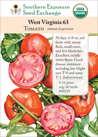 49239 West Virginia 63