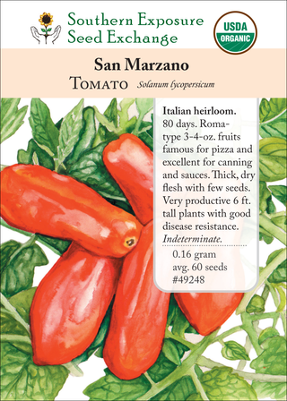 49248 San Marzano
