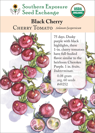 49252 Black Cherry