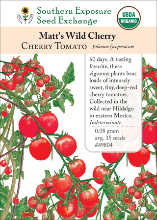 49804 Matt's Wild Cherry