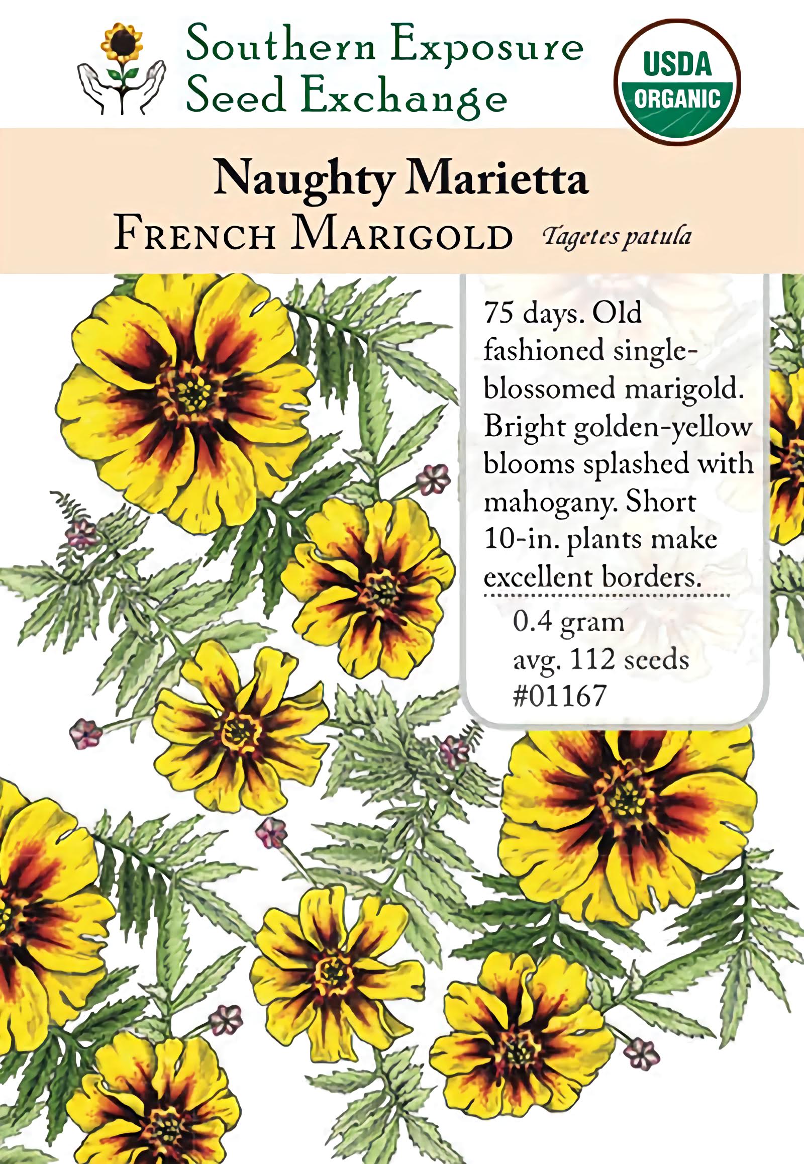 french marigold seeds French Marigold, Naughty Marietta