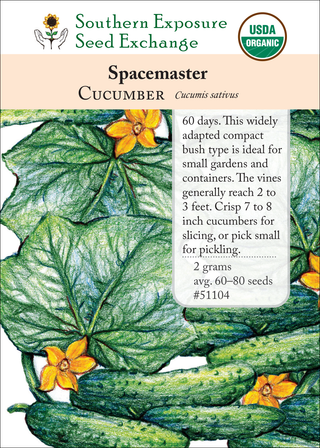 51104 Spacemaster