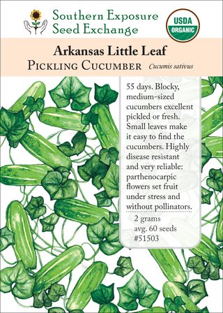 51503 Arkansas Little Leaf