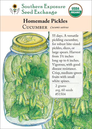 51504 Homemade Pickles