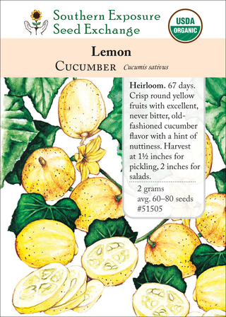 51505 Lemon