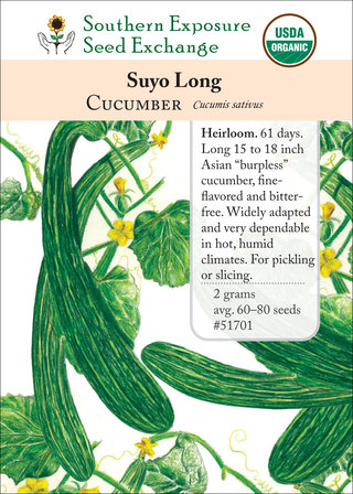 51701 Suyo Long