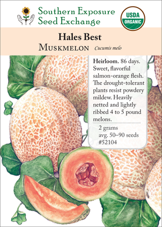 52104 Hales Best