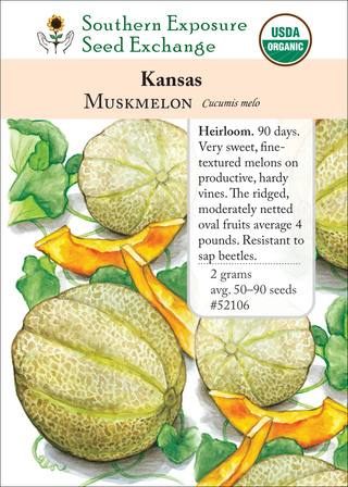 52106 Kansas muskmelon