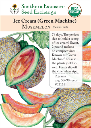 52113 Ice Cream (Green Machine)