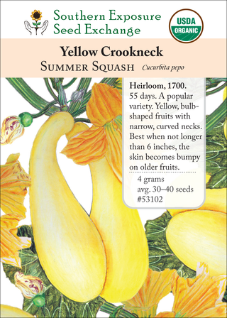 53102 Yellow Crookneck