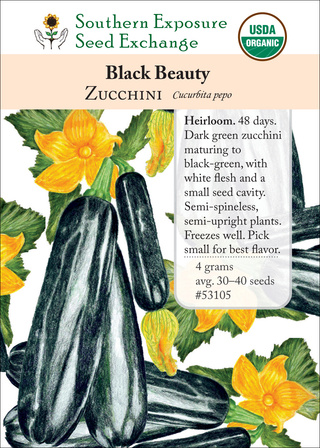 53105 Black Beauty zucchini
