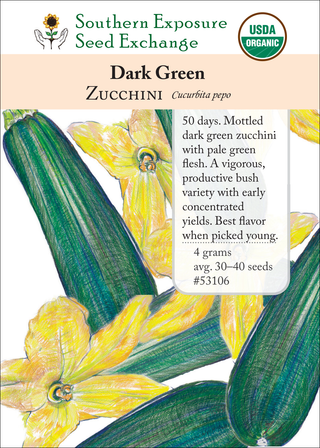 53106 Dark Green zucchini