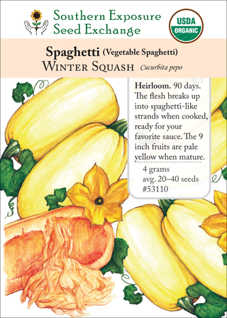 53110 Spaghetti