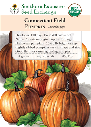 53113 Connecticut Field