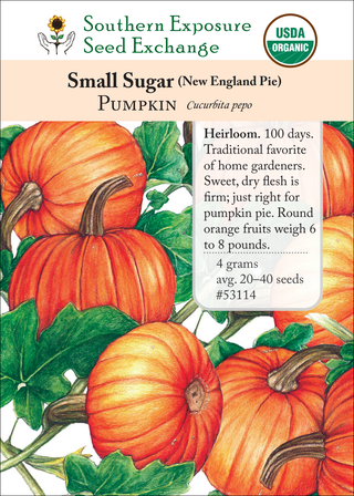 53114 Small Sugar