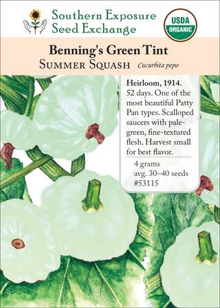 53115 Benning's Green Tint