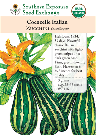 53116 Cocozelle