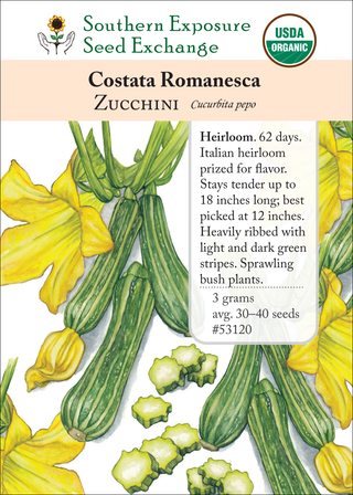 53120 Costata Romanesca