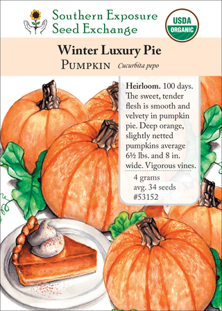 53152 Winter Luxury Pie